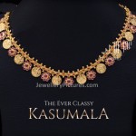 Kasu Mala Designs with Weight and Price